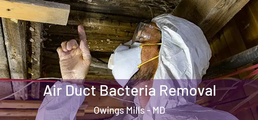  Air Duct Bacteria Removal Owings Mills - MD