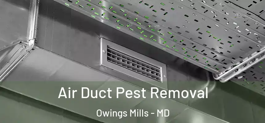 Air Duct Pest Removal Owings Mills - MD