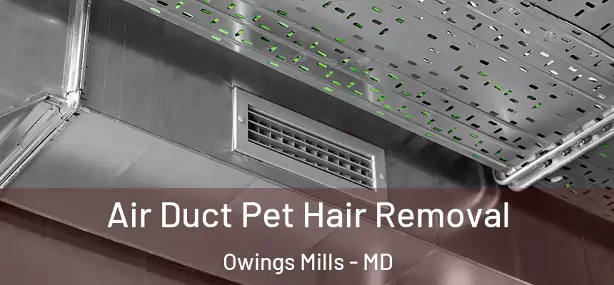 Air Duct Pet Hair Removal Owings Mills - MD