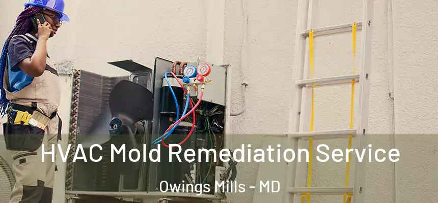  HVAC Mold Remediation Service Owings Mills - MD