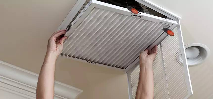 Preventive Cockroach-Proofing for Ducts in Owings Mills