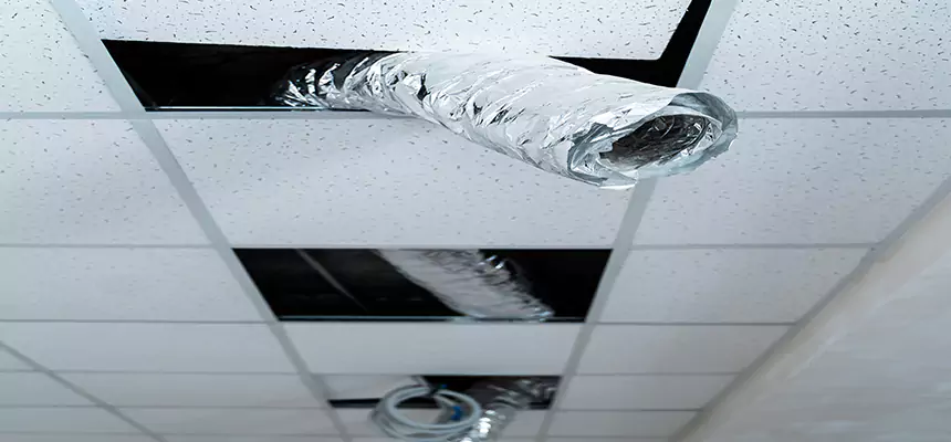 Our Air Duct Pet Hair Removal Services in Owings Mills, MD