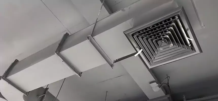 Restorative Allergy Relief Vent Cleaning – Coil, Blower & Housing Detail in Owings Mills