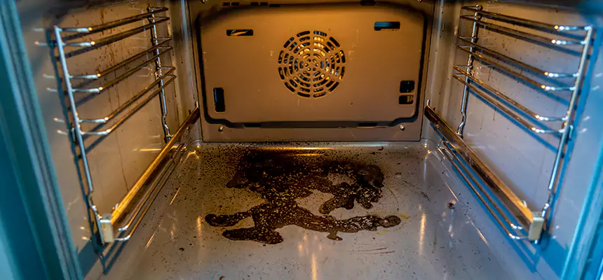 Our Dryer Vent Mold Cleaning Services in Owings Mills, MD