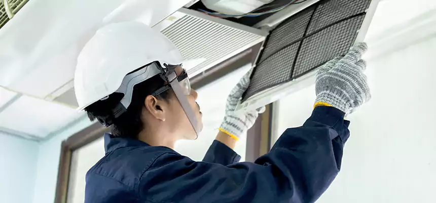 Our Mold & Mildew Removal from Air Ducts Services in Owings Mills, MD