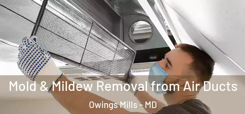 Mold & Mildew Removal from Air Ducts Owings Mills - MD