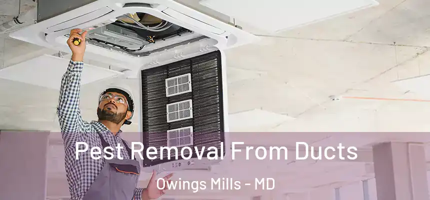  Pest Removal From Ducts Owings Mills - MD