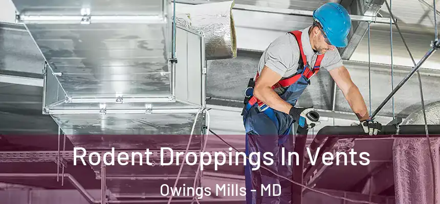  Rodent Droppings In Vents Owings Mills - MD