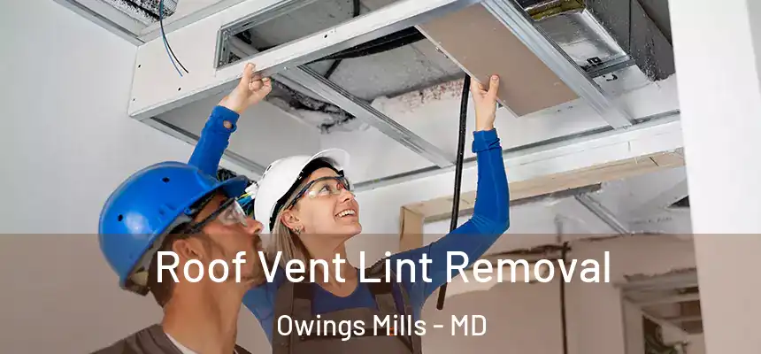  Roof Vent Lint Removal Owings Mills - MD