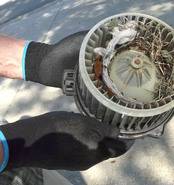 About Air Duct Rat Removal in Owings Mills, MD