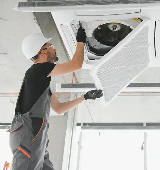 About Air Duct Rodent Removal in Owings Mills, MD